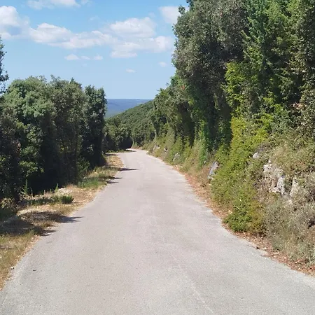 Hribar דירה